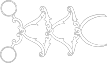 Vector-3.png?ts=1785306352
